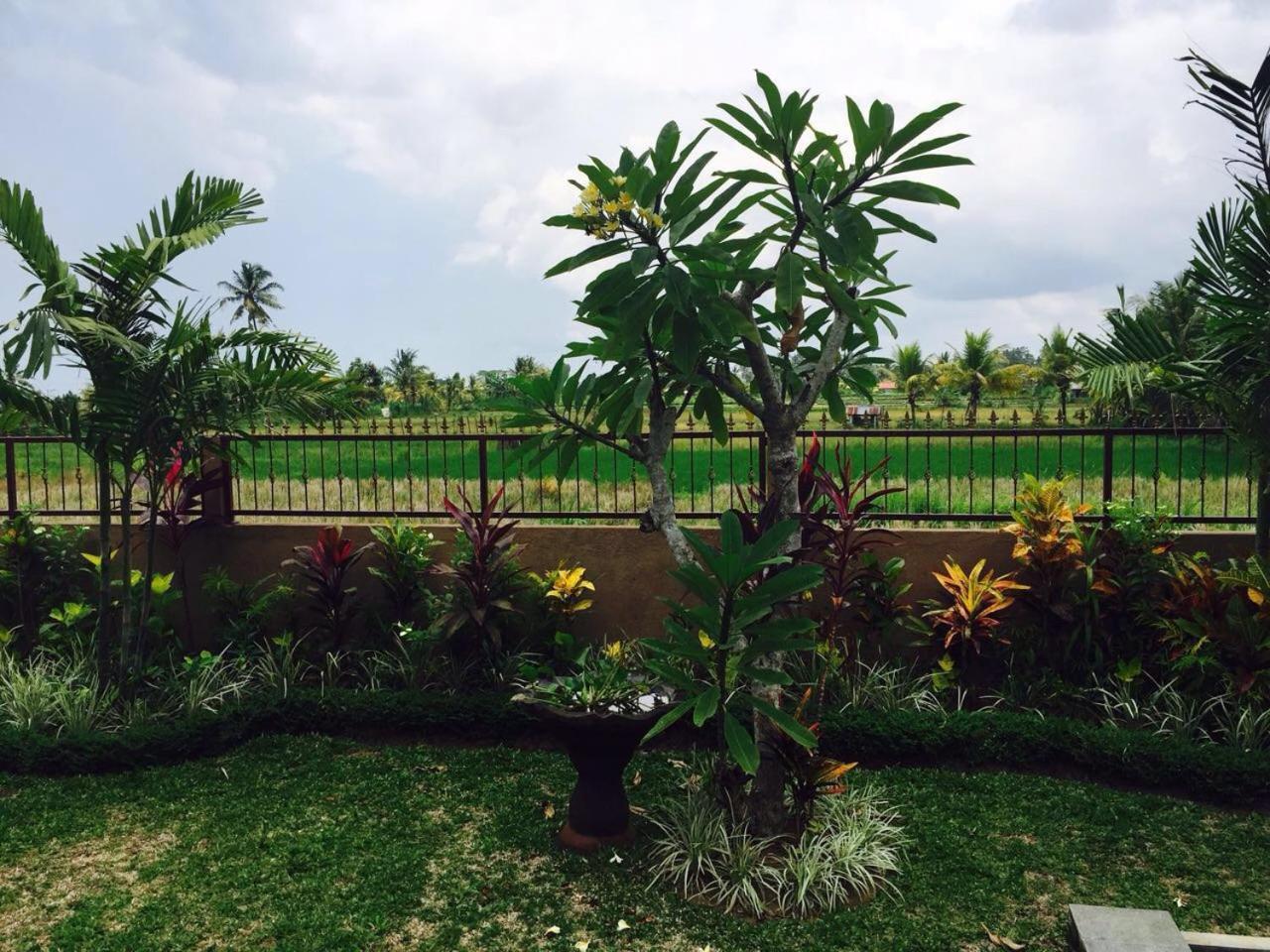Villa Bali Green Ubud Dış mekan fotoğraf